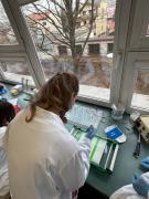 whatsapp-image-2026-02-25-at-153349-1