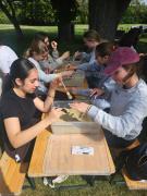 Bild41